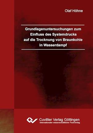 Cover for Olaf Höhne · Grundlagenuntersuchungen zum Einfluss des Systemdrucks auf die Trocknung von Braunkohle in Wasserdampf (Paperback Book) (2012)