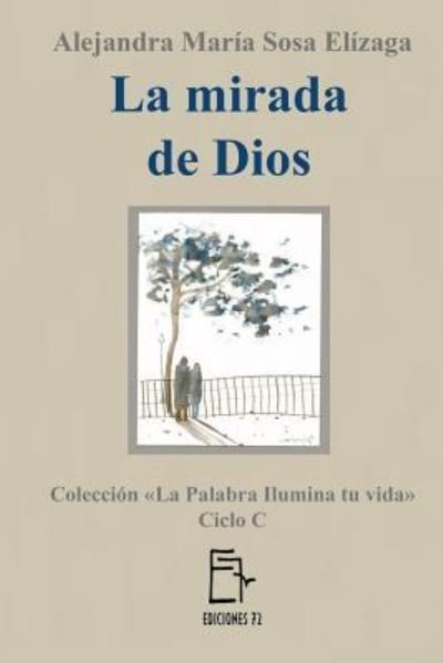 Cover for Alejandra Maria Sosa Elizaga · La mirada de Dios (Paperback Book) (2017)