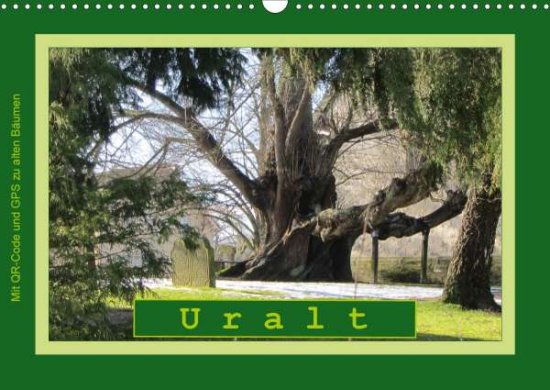 Uralt - Mit QR-Code und GPS zu a - Keller - 图书 -  - 9783671694792 - 