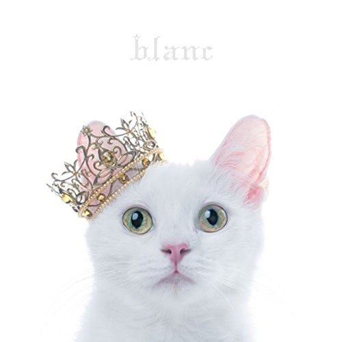Best Selection `blanc` <limited> - Aimer - 音乐 - SONY MUSIC LABELS INC. - 4547366299793 - 2017年5月3日