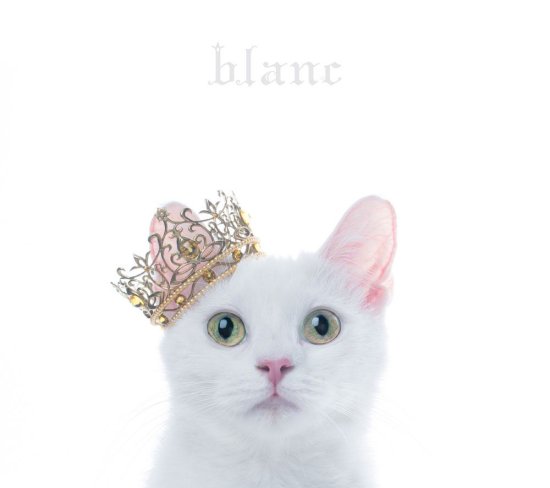 Cover for Aimer · Best Selection 'blanc' <limited-b> (CD) [Japan Import edition] (2017)
