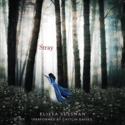 Stray - Elissa Sussman - 音乐 - HARPERCOLLINS - 9781483028811 - 2014年10月7日