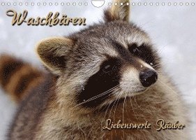 Cover for Martina Berg · Waschbären (Wandkalender 2022 DIN A4 quer) (Calendar) (2021)