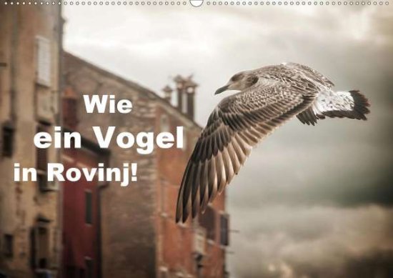 Cover for Gross · Wie ein Vogel in Rovinj! (Wandkal (Book)