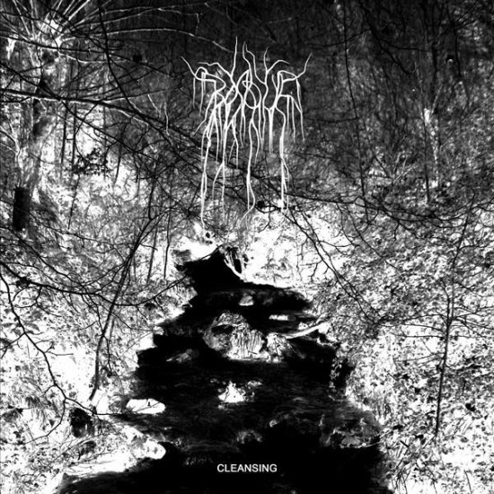 Cover for Bosque · Cleansing (LP) (2020)