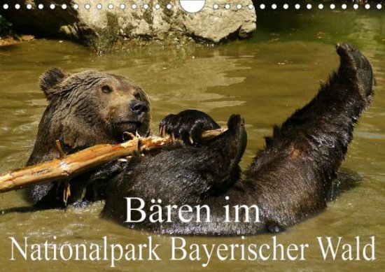 Cover for Müller · Bären im Nationalpark Bayerische (Book)
