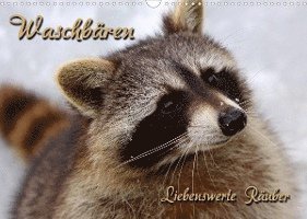 Cover for Martina Berg · Waschbären (Wandkalender 2022 DIN A3 quer) (Calendar) (2021)