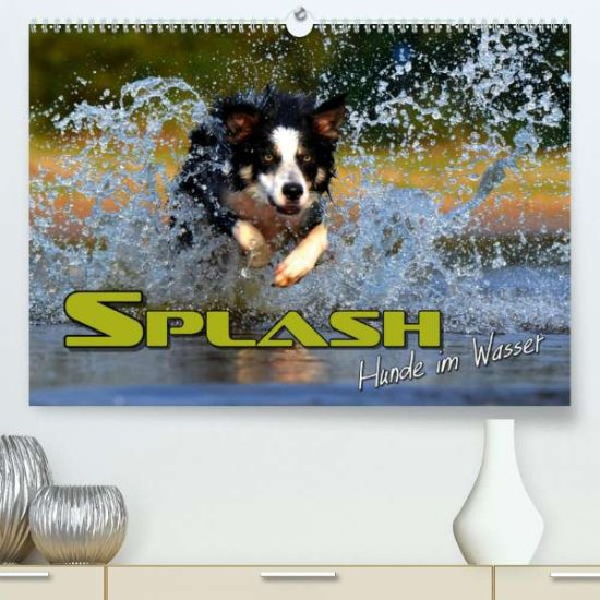 Cover for Bleicher · SPLASH - Hunde im Wasser (Prem (Book)