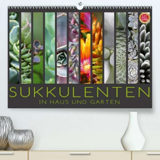 Cover for Cross · Sukkulenten in Haus und Garten (P (Book)