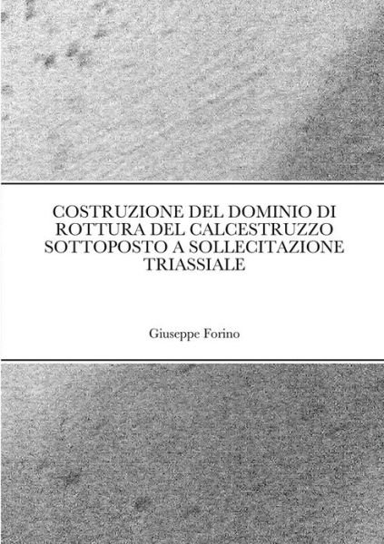 Cover for Giuseppe Forino · Costruzione del Dominio Di Rottura del Calcestruzzo Sottoposto a Sollecitazione Triassiale (Paperback Book) (2020)