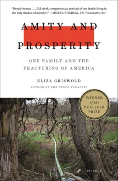 Cover for Eliza Griswold · Amity and Prosperity (Hardcover Book) (2019)