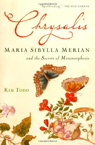Cover for Kim Todd · Chrysalis: Maria Sibylla Merian and the Secrets of Metamorphosis (Paperback Book) [Reprint edition] (2007)
